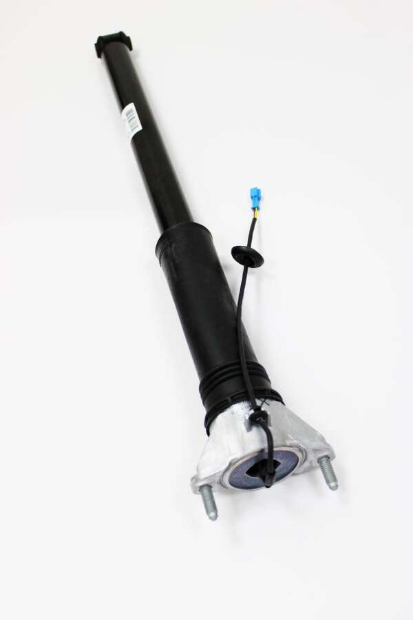 Mercedes-Benz Original Rear Shock Absorber (MPN: A2473200504)